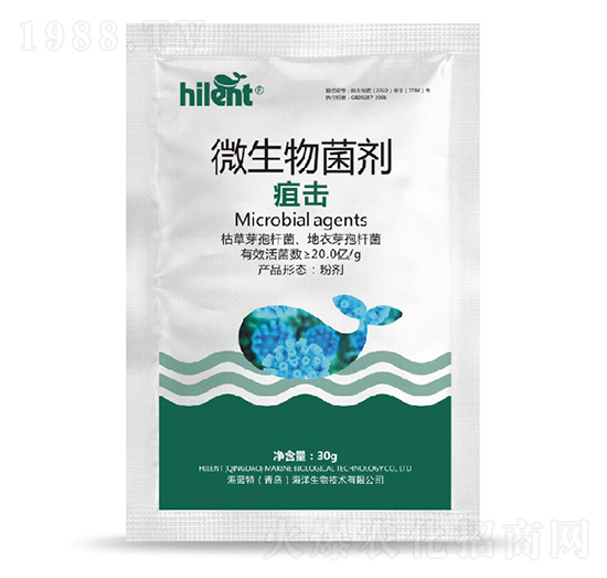 ΢�������-�ғ�-���{��