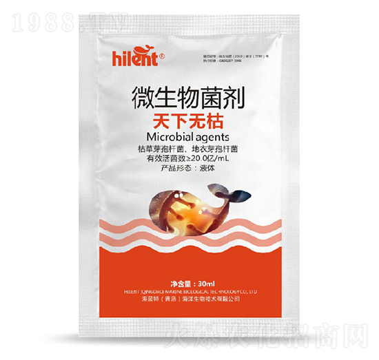 ΢�������-���o(w��)��-���{(l��n)��