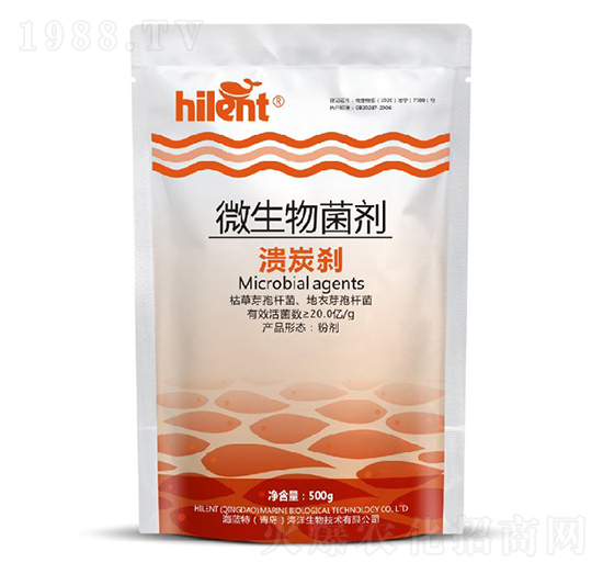 ΢�������-��̿�x-���{��