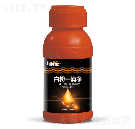 白粉一滴凈-海藍特