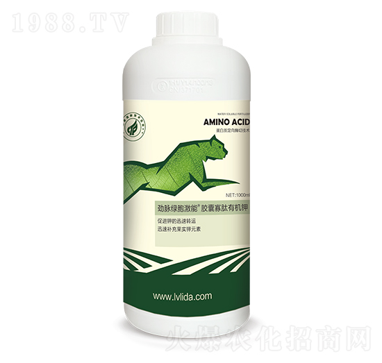 �G�������z�ҹ����ЙC(j��)�-���}