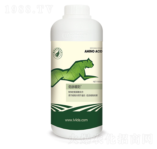 冷調節(jié)蛋白促進劑-勁脈暖陽-勁脈