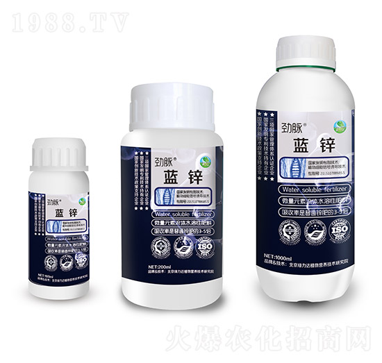 藍鋅-勁脈