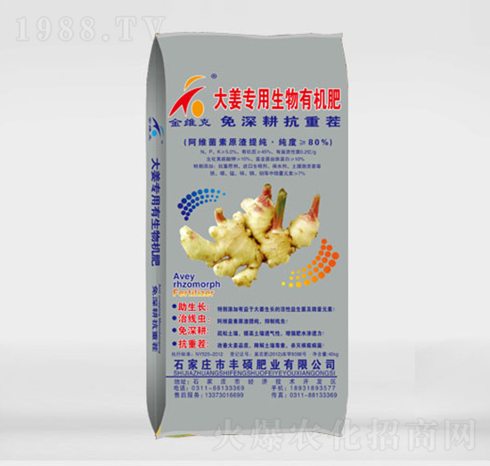大姜專用生物有機(jī)肥-豐碩沃農(nóng)