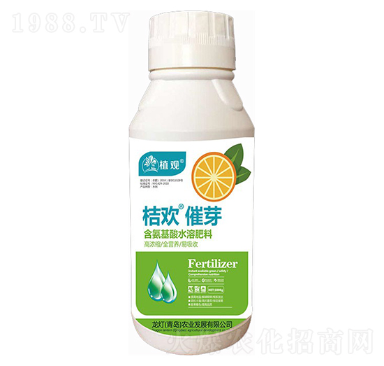 桔歡·催芽-植觀-龍燈農(nóng)業(yè)