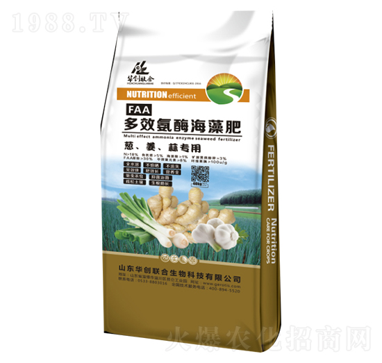 蔥姜蒜專用多效氨酶海藻肥-華創(chuàng)聯(lián)合