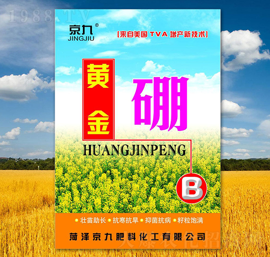 黃金硼-京九