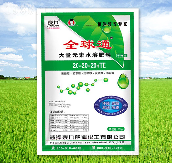 平衡型大量元素水溶肥20-20-20+TE-京九