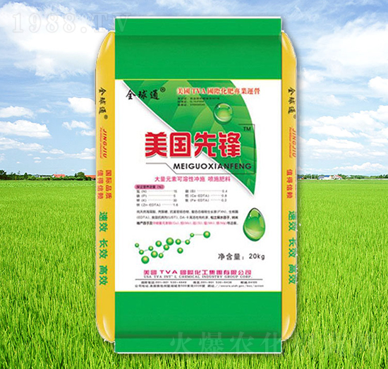 美國(guó)先鋒-京九