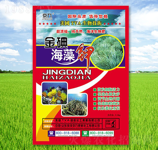 金碘海藻鉀-京九