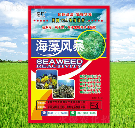 海藻風(fēng)暴-京九