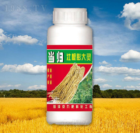 ��(d��ng)�w�Ѹ�����`-����