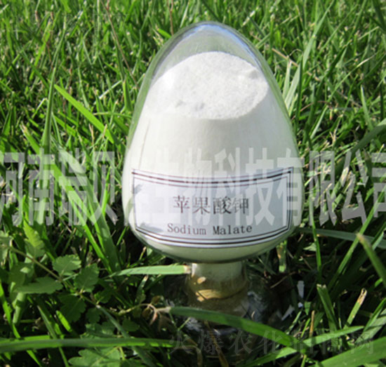 蘋果酸鉀-瑞貝佳生物