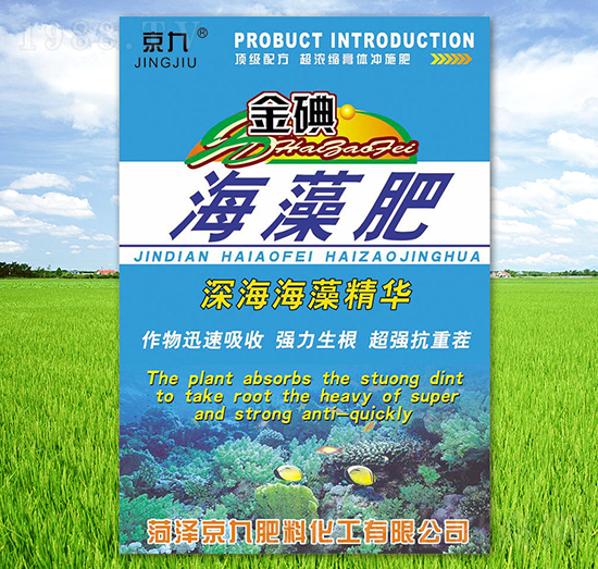 金碘海藻肥-京九