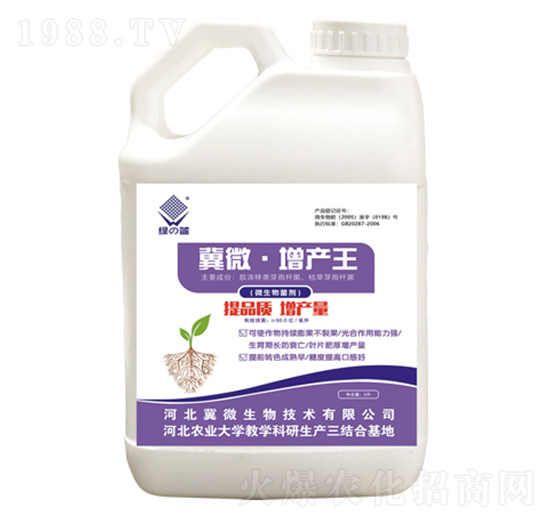 增產(chǎn)王微生物菌劑-綠藍-冀微生物