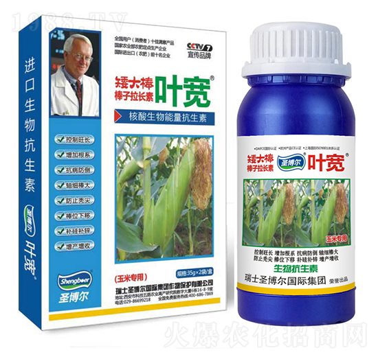 ���׌����~���-��������ø�T����-�~��-ʥ��������