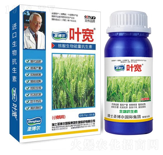 С�������~���-��������ø�T����-�~��-ʥ��������