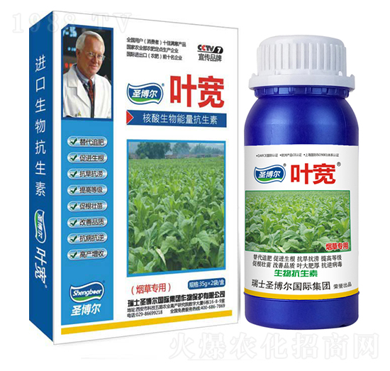 ���݌����~���-��������ø�T����-�~��-ʥ��������