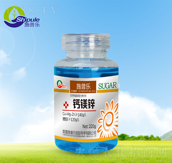 �}�V�\-ʩ�՘�(l��)