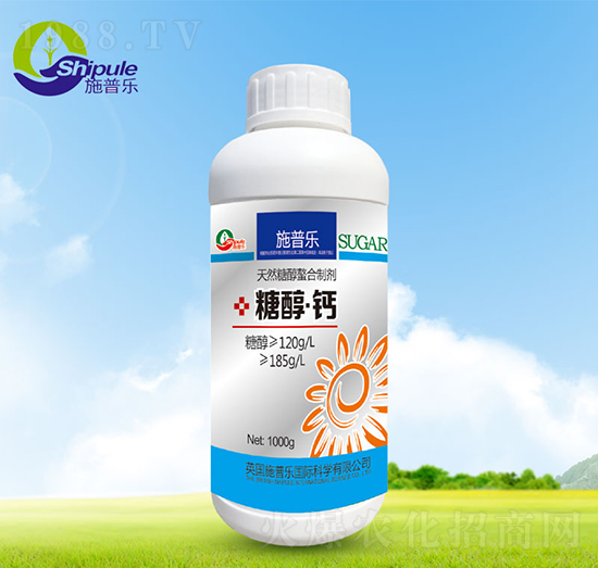 �Ǵ����}-ʩ�՘�