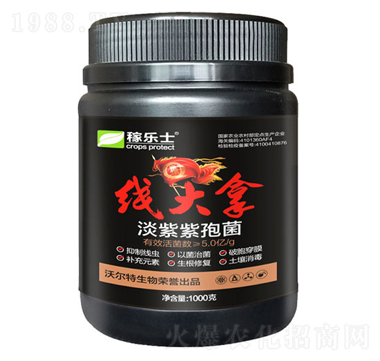 淡紫紫孢菌-線(xiàn)大拿-沃爾特