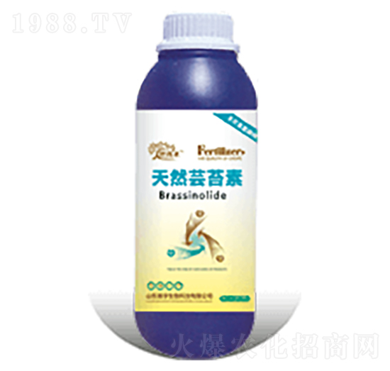 天然蕓苔素-瀚宇生物