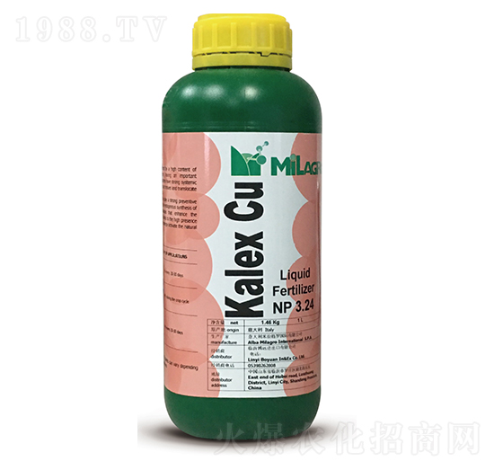 米拉戰(zhàn)菌-博遠(yuǎn)