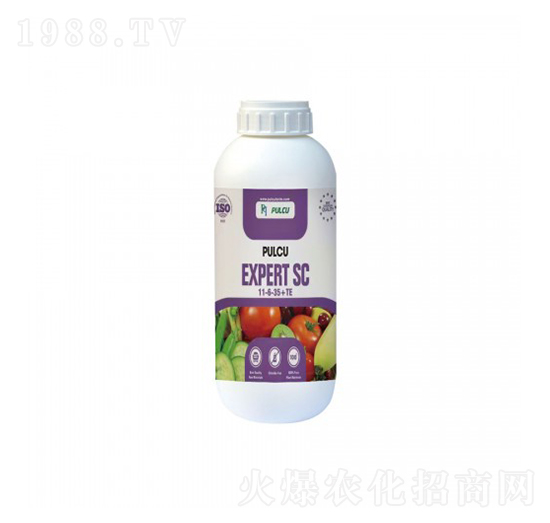 瓶裝土耳其·普爾卡11-6-35+TE-奧朗沙