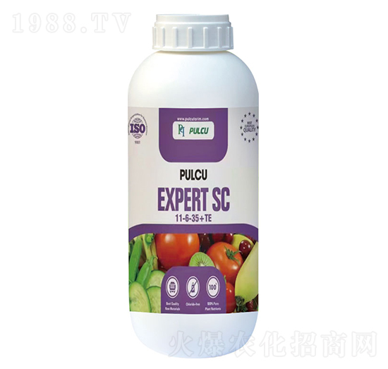 土耳其·普爾卡11-6-35+TE-奧朗沙