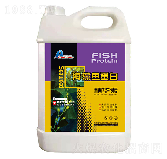 海藻魚蛋白精華素-奧朗沙