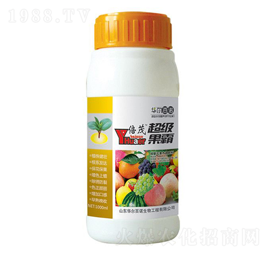 ��������-�A�����Z