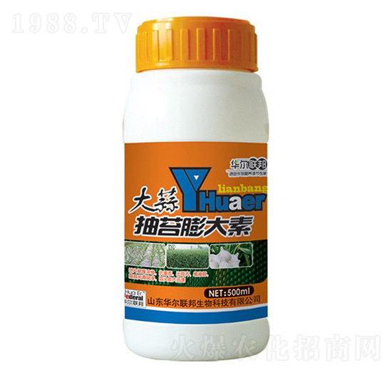 �����̦�����-�A�����Z