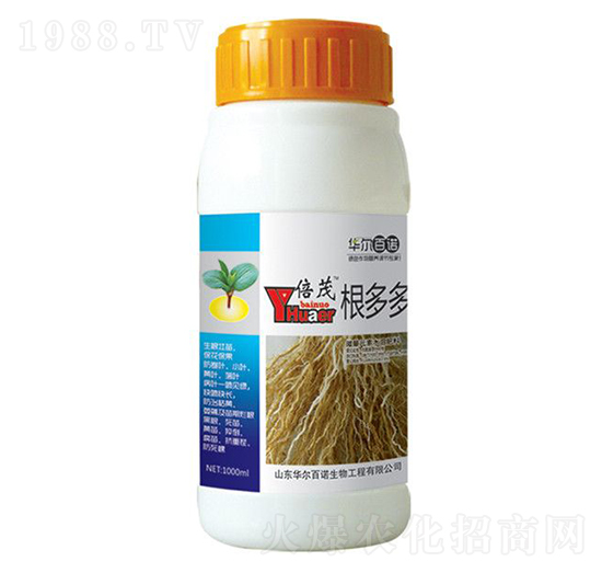 ������~���-�A�����Z