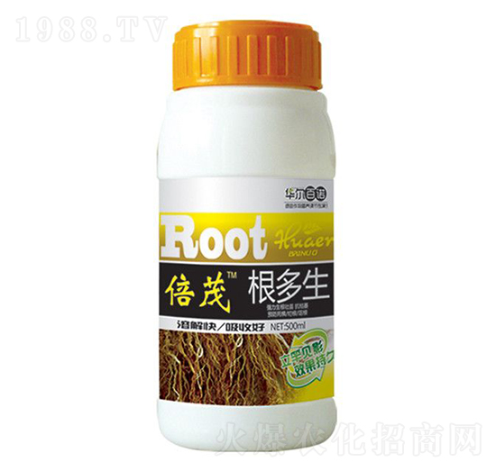 ������-�A�����Z