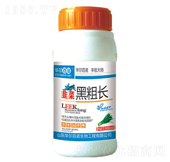 �²˺ڴ��L(zh��ng)-�A�����Z