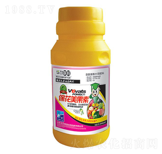 ����������-�A�����Z