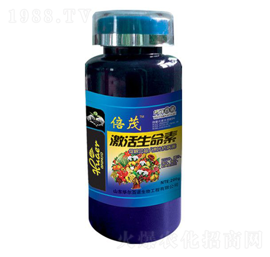 ����������-�A�����Z