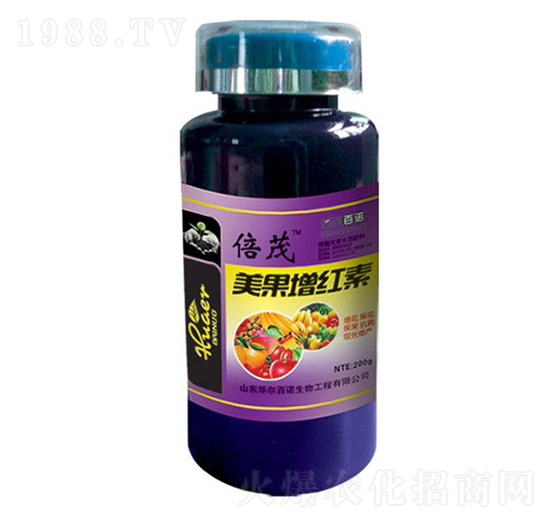 �������t��-�A�����Z