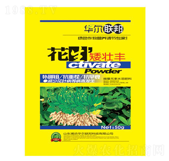 ���������S-�A�����Z