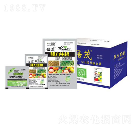 強力生根綠葉?；▌?華爾百諾