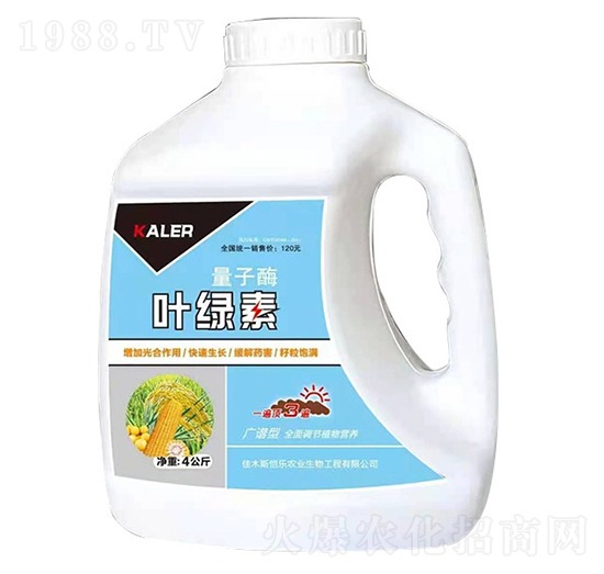 葉綠素-量子酶-愷樂(lè)農(nóng)業(yè)