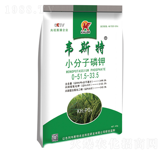 С�������-�f˹��-��(l��)�r(n��ng)�I(y��)