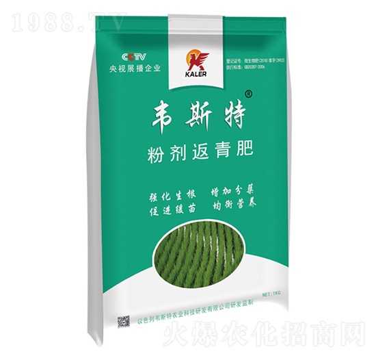 �ۄ������-�f˹��-��(l��)�r(n��ng)�I(y��)