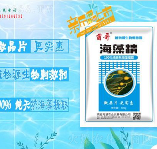 海藻精-?；? style=