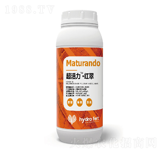 ���������t��-�������