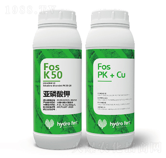 FOS���������-�������