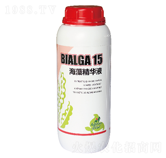 ���徫�AҺ-ؐ����-�������