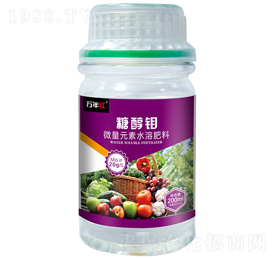 �Ǵ��f-�f��t-�Z�\��