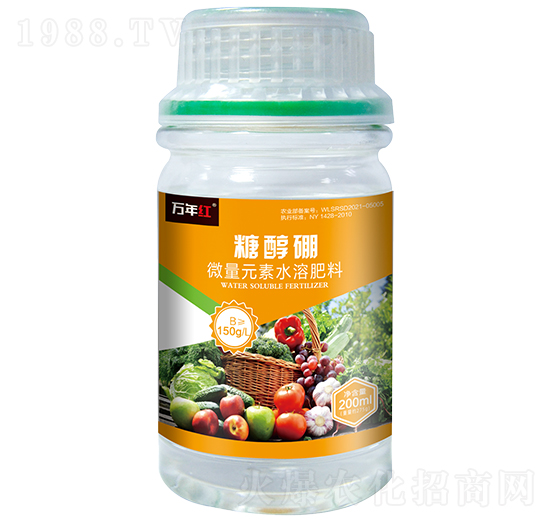 �Ǵ���-�f��t-�Z�\(ch��ng)��