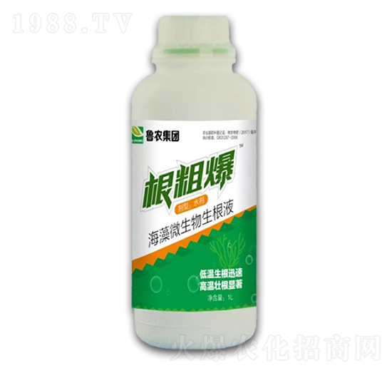海藻微生物生根液-根粗爆-魯農(nóng)集團(tuán)
